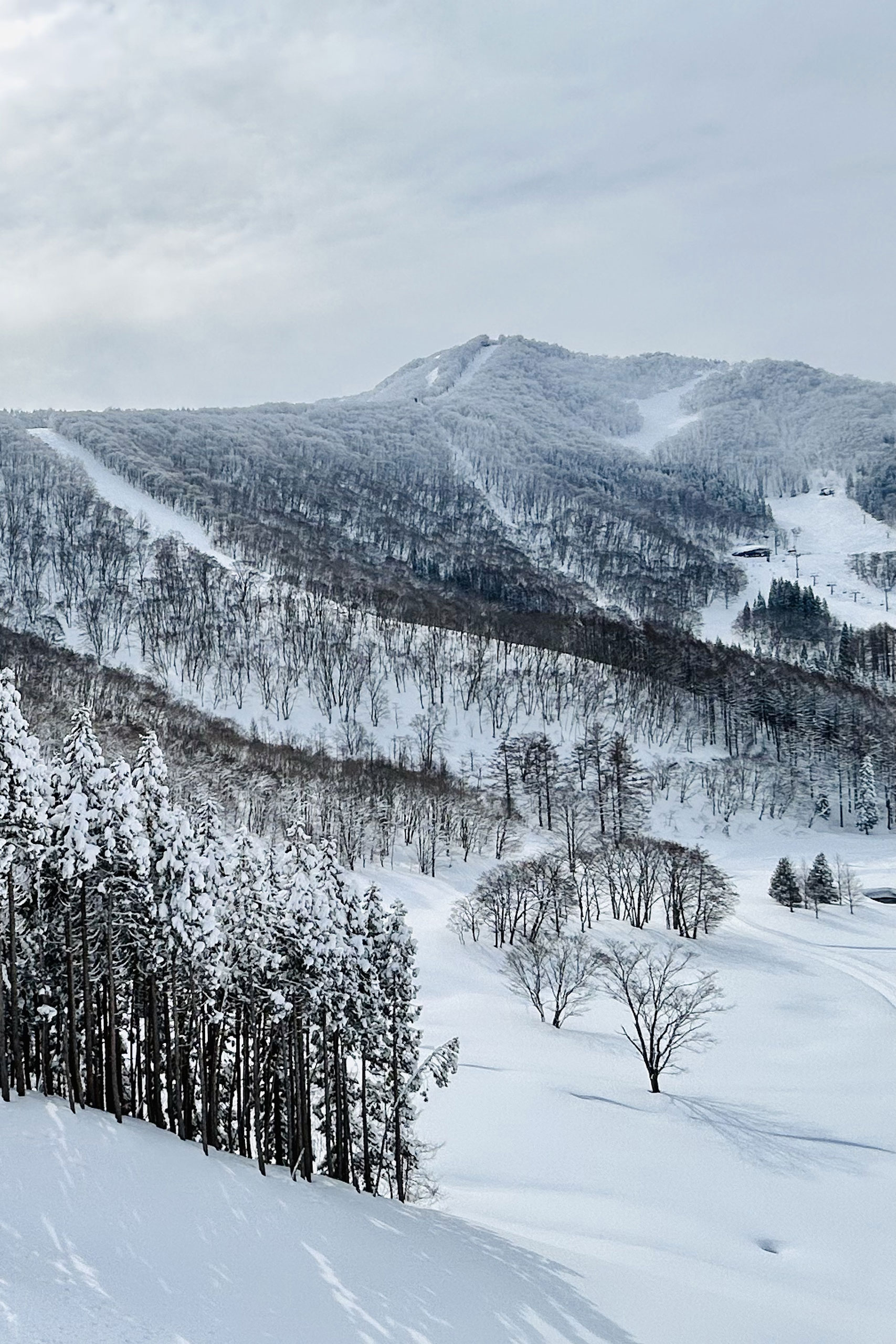 About Us 4 Kitano Oraho Lodge