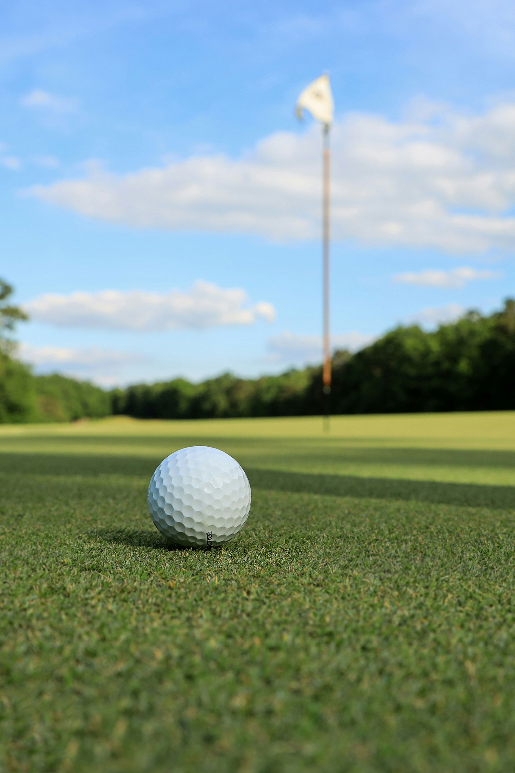 Explore Madarao and Myoko by Season 4 activity-golf-3