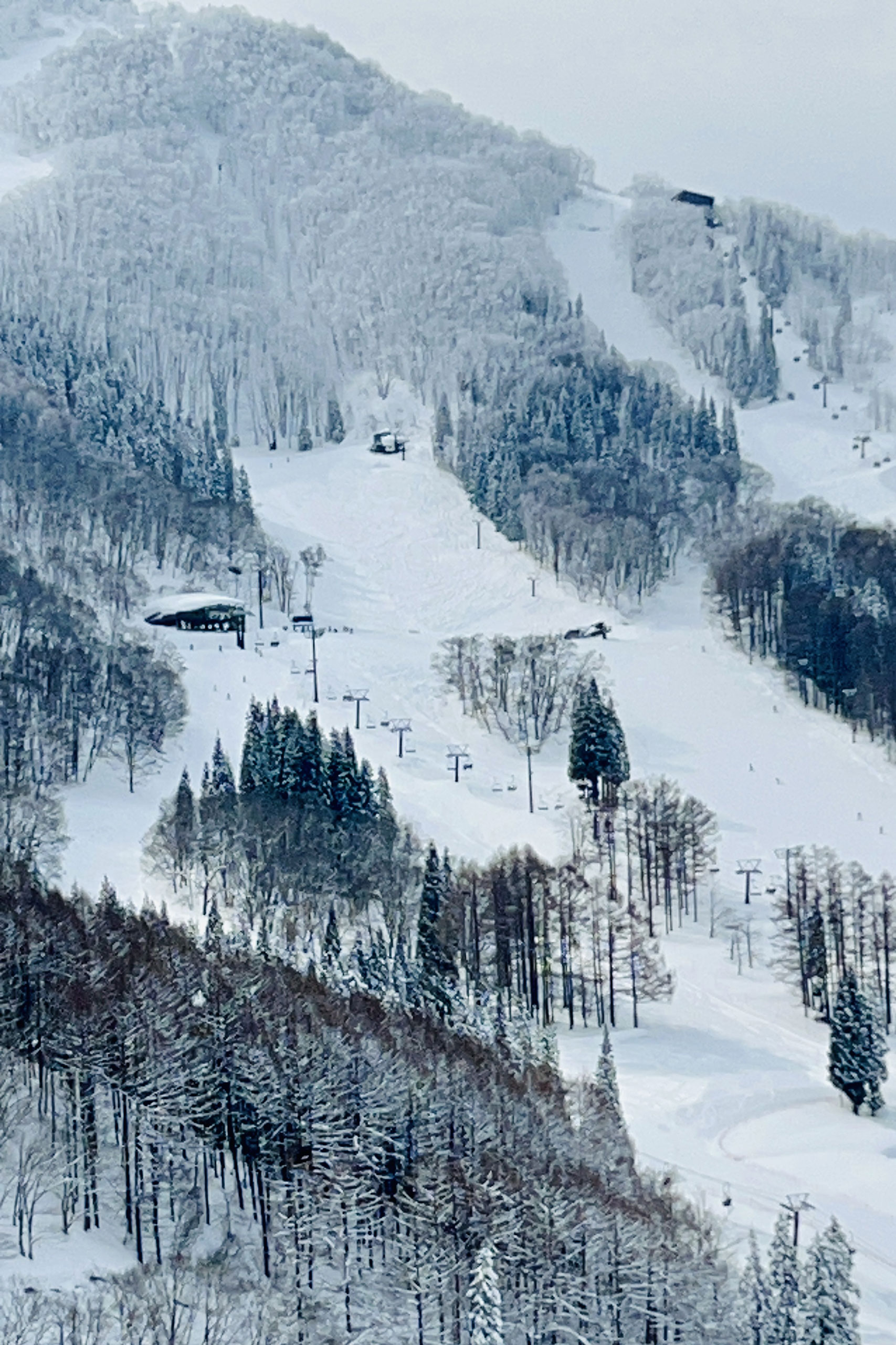 Explore Madarao and Myoko by Season 3 activity-ski-resorts-3